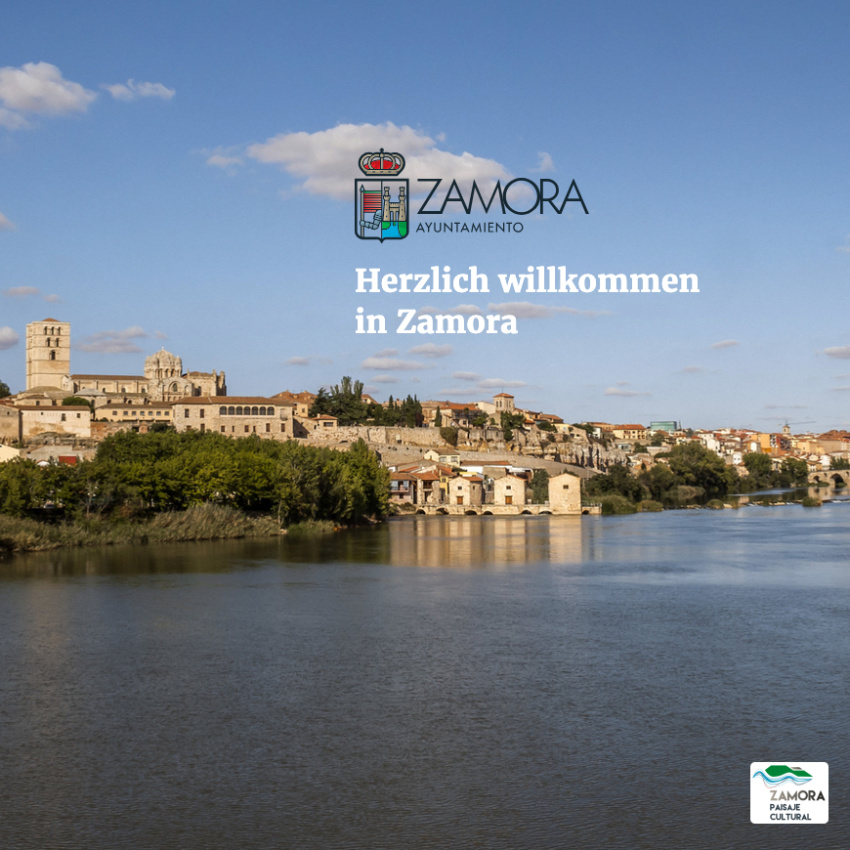 Visit Zamora
